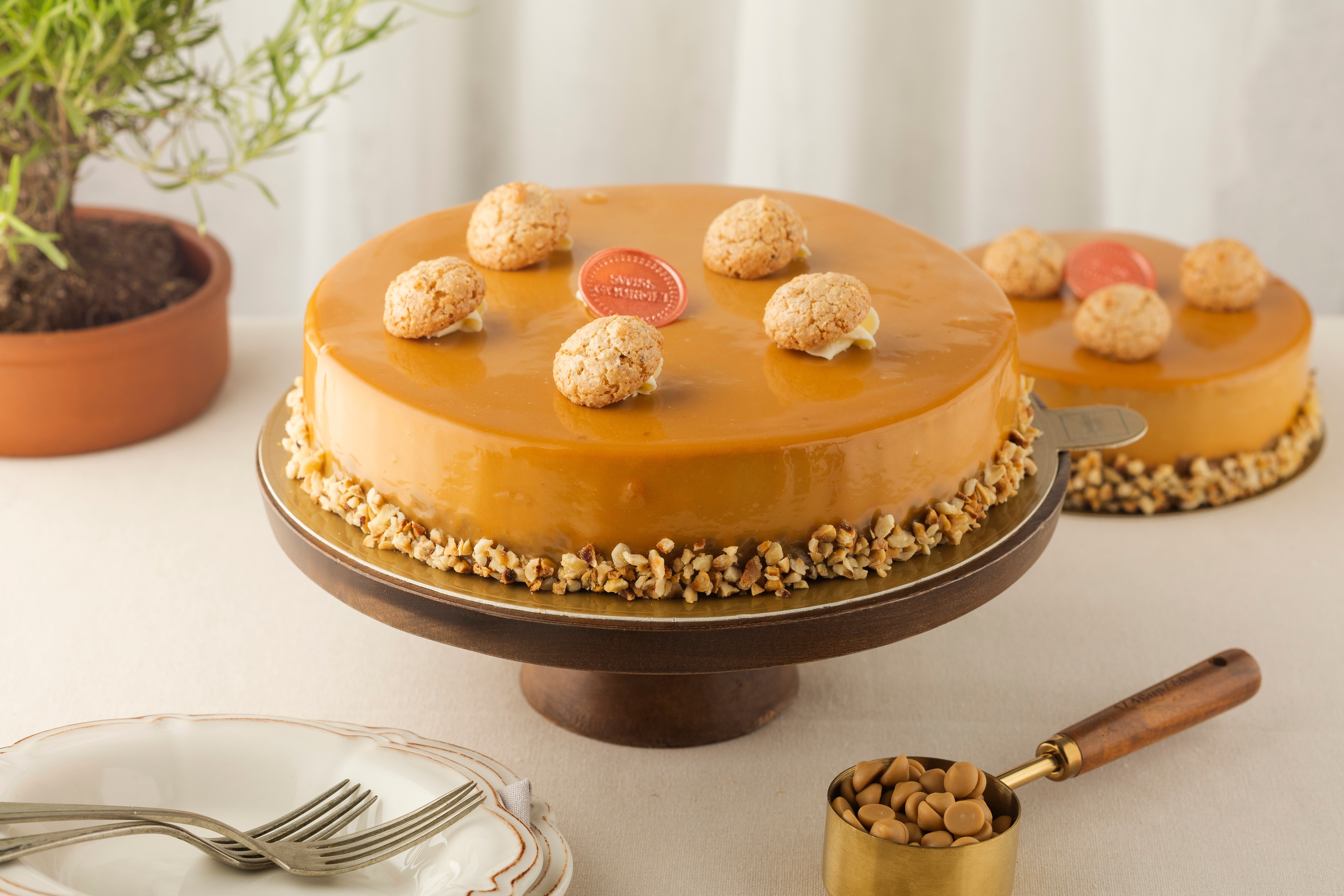 Bosphorus Club Card – Bosphorus Membership